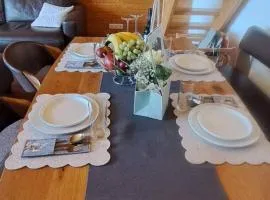Maisonette-Apartment mit Sauna und Garage auf 1000 Höhenmetern im Schwarzwald