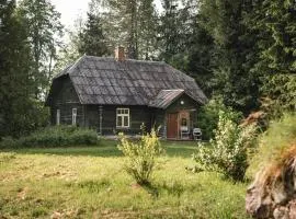 Retreat House "Induli" - Sauna, Swim, Hike, Forrest Bath, Art & Design