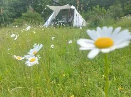 Séjour nature en tente équipée