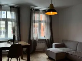 Śródka Vintage Apartment Poznań