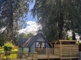 Macha 3 - Hot Tub-Perth-Pets-Family-Luxury-Cabin, hotel en Perth