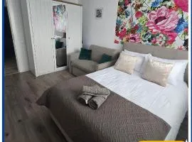 Rox Mountain View Apartment Râșnov