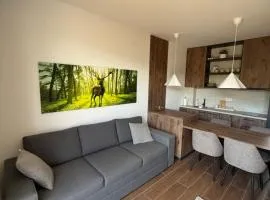 Forest apartmani