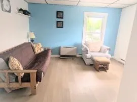 pet friendly newly updated loft bedroom apartment