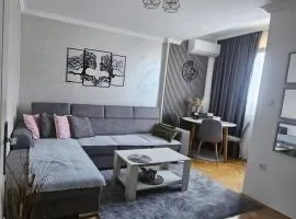 Stan na dan Bijeljina centar