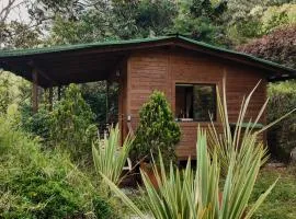 MAGDA Nature Lodge
