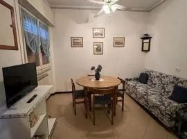 Casa Mimosa