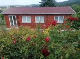 Chalet accueillant à Égliseneuve-des-Liards avec jardin