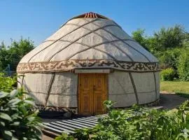 Traditional Nomad Yurt in Bishkek