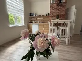 Parka ielas apartamenti