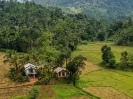 Forest & Fields Sinharaja - Nature, Raw & Refined
