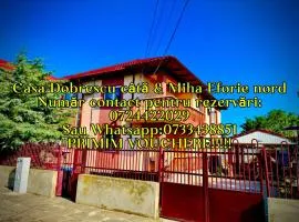 Casa Dobrescu cata si miha