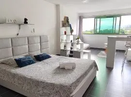 Les Terrasses d'Anissy - Studio cosy