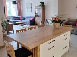 Apartament przy Jeziorku Magistrackim