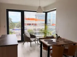 Elegant Apartments