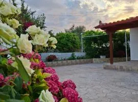 Guesthouse Nedin
