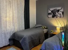 Best Preis Stadtoase HBF Salzwedel Apartment am Bahnhof fuer max 3 Personen mit Boxspringbetten Schlafcouch Kueche und 2x TV