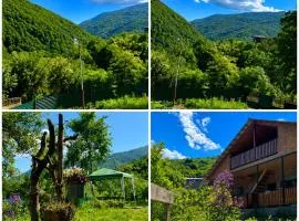 racha cozy cottage