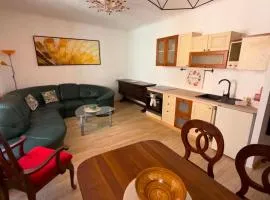 Apartman Izolana
