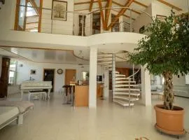280m2 Luxus Loft Atrium-X mit 60m2 Terrasse