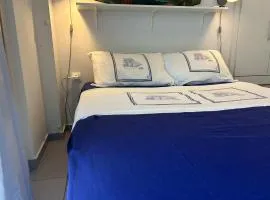 Royal Zea Suite 3