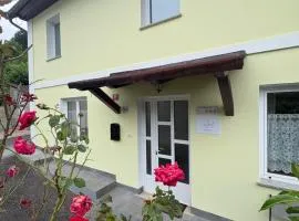 Apartma Suzy