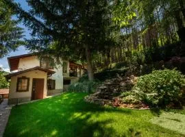 Вила Бучала Villa Buchala