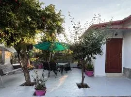 Villa Amelia