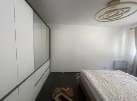 Apartament Baile Herculane