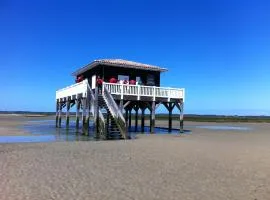 Chalet bassin d arcachon