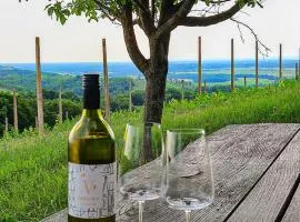 Udobna hiša med vinogradi blizu Vinarium LEND - Comfortable Vineyard House near Vinarium Tower LEND