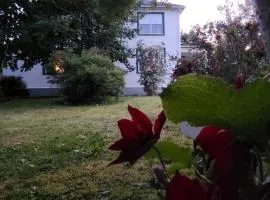 Tripp Inn