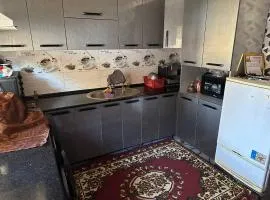 Kyzilnavr