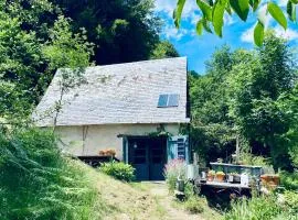 Une Cabane au Cœur des Pyrénées