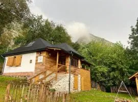 Bat's Cave Hut Transylvania