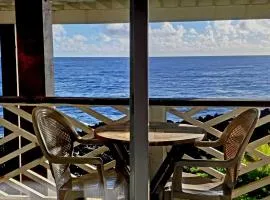 Oceanfront studio see whales and dolphins