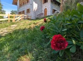 Chalet Peter