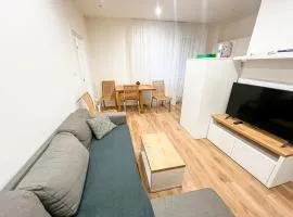 Cozy apartment in city center