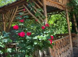 Rob Guest House