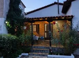 Detached House in Sykia