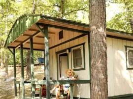 Camper Cabin Escape with Fire Pit and Covered Porch in Branson, Missouri