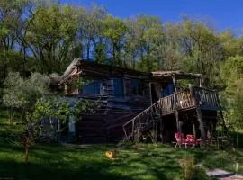 Cabane Layénie sous les étoiles