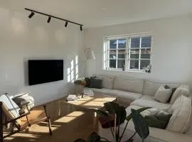 Beautiful danish design house on Amager