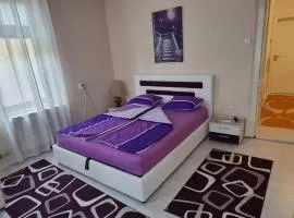 AMY APARTMAN