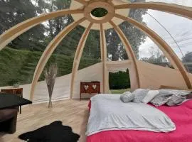Bulle des châteaux