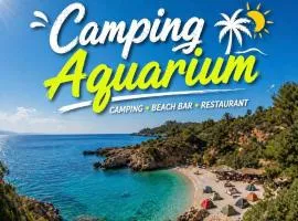 Camping Aquariumm