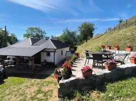 Vujanac vikend kuća