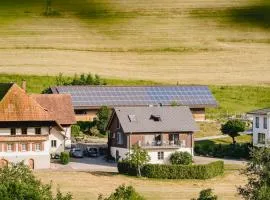 Moderne und ansprechende Ferienwohnung KINAST 2 HOST111 im Herzen des Schwarzwaldes