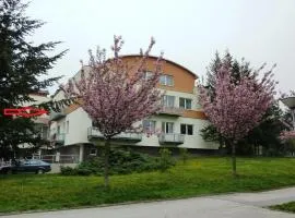 HifiKlubBrno Appartement Komin