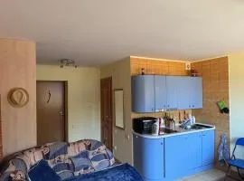 Compact & Cozy Palanga Studio